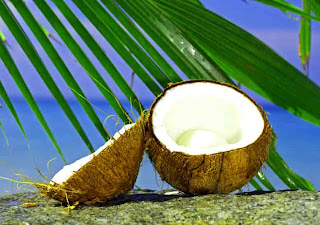 health_benefits_of_eating_coconut_fruits-vegetables-benefitsblogspot.com(9)