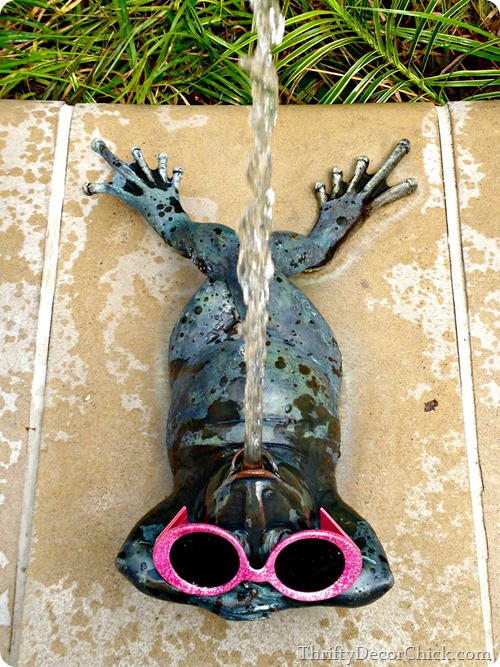 spitting frogs white river gardens