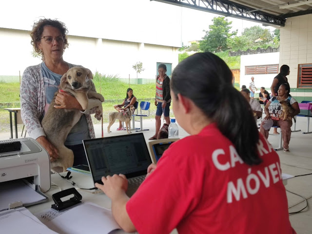 CASTRA MÓVEL: Em 3 Meses mutirão castra mais de 2 Mil Animais!