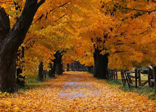 Autumn Backgrounds, Fall Desktop Wallpapers