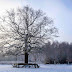 10 februari 2024 Winterwandeling Amerongse Bos 