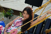 Shruthi Hassan New Photos From 7th Sense