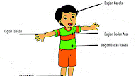 Gambar Anggota Tubuh Kartun