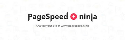 Page speed ninja plugin