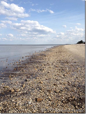Delaware2012 233