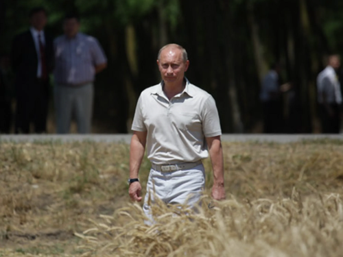 Putin Threatens "Scam" Ukraine Grain Export Deal, Says Most Ships Diverted To EU