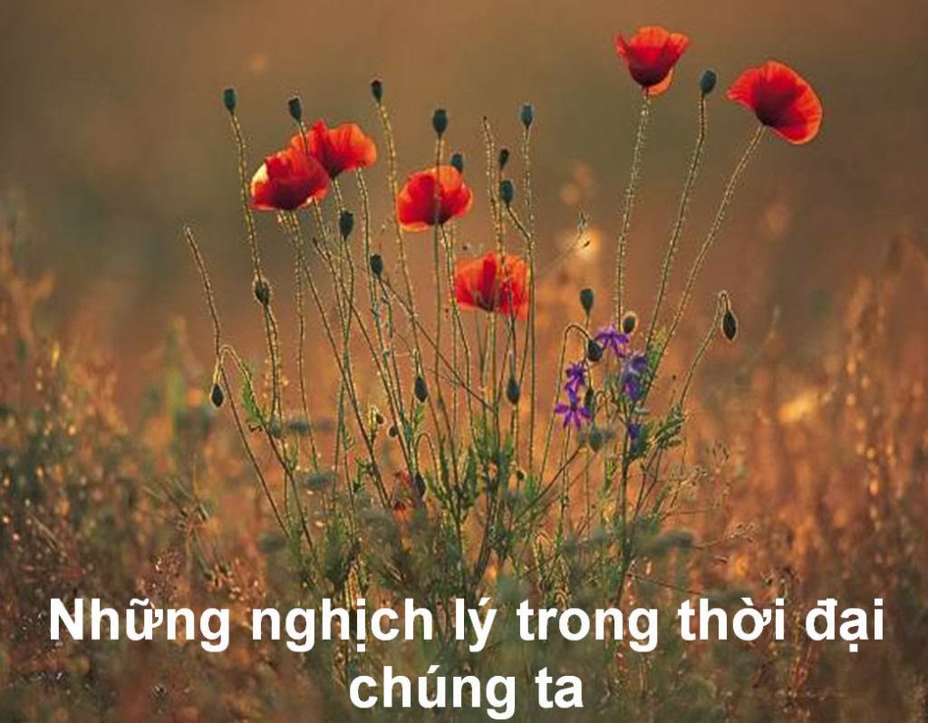 Những nghịch lý cuộc đời ! Lặng và ngẫm