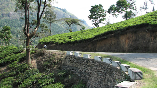  Last summertime nosotros planned to pass a long weekend inwards Munnar IndiaTravelDestinationsMap: Munnar inwards Summer