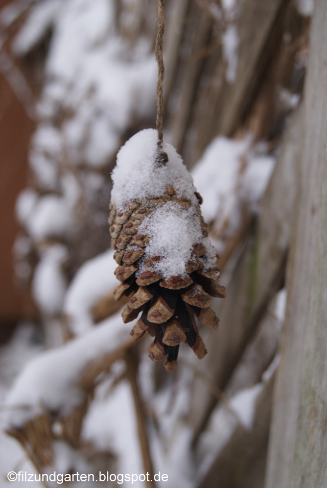 Kiefernzapfen mit Schneehaube