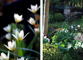 Forår i haven hos Plantebegejstring