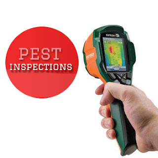 pest inspection