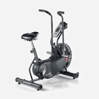 Schwinn AD6 Airdyne Exercise Bike, image, review features & specifications plus compare with AD Pro and AD2