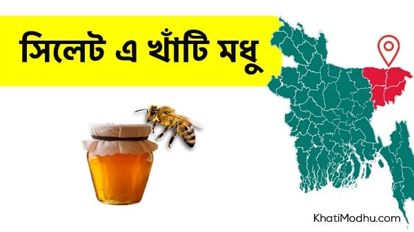 সিলেট এ বসেই Pure Honey কিনুন (TRUSTED SITE)