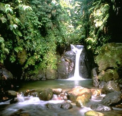 Tukang Rontgen Blogs Tempat Tempat Wisata Kota Tuban Jawa