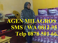 Agen Milagros Bekasi 085214966266