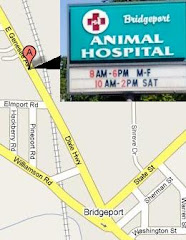 Bridgeport Animal Hospital