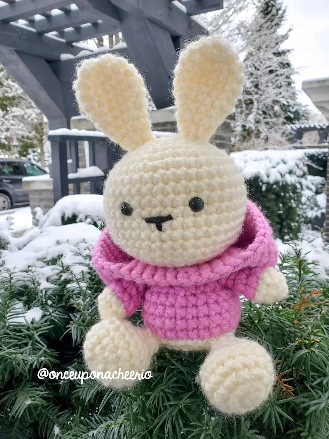 Hoodie Bunny Amigurumi FREE Crochet Pattern