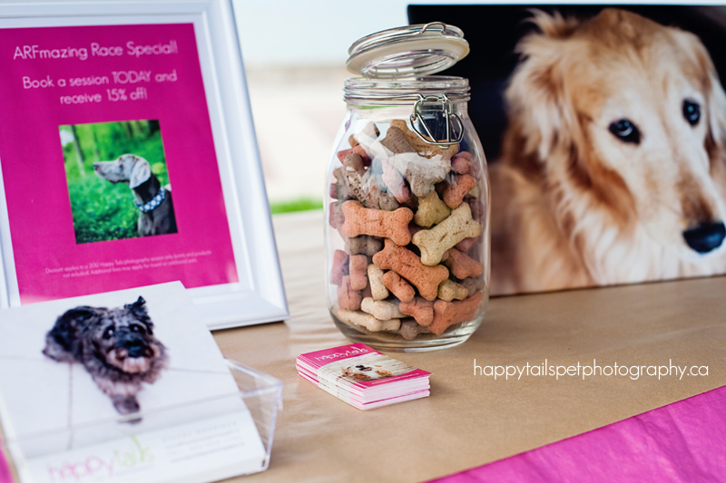 Dog biscuits, business cards and artwork sit on the Happy Tails Pet Photography table at the 2012 Burlington Humane Soceity ARFmazing Race fundraiser in Spencer Smith Park, Ontario..