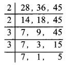 Solutions Class 5 गणित गिनतारा Chapter-4 (महत्तम समापवर्तक और लघुत्तम समापवर्त्य)
