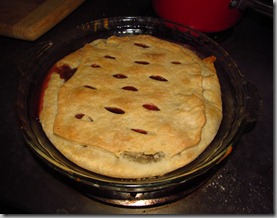 gooseberry plum pie