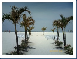 PTDC0184-Beach