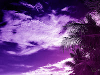 tree and sky purple