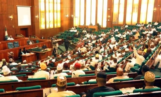 Reps urge Fed Govt to return SON, NAFDAC to ports