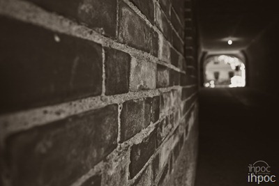 IMG_8953