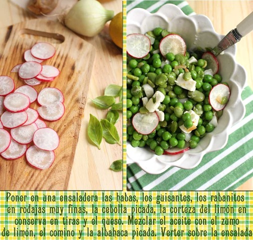 poner-en-una-ensaladera