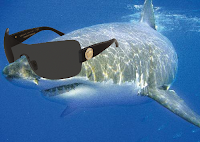 Image requin blanc avec lunettes de soleil