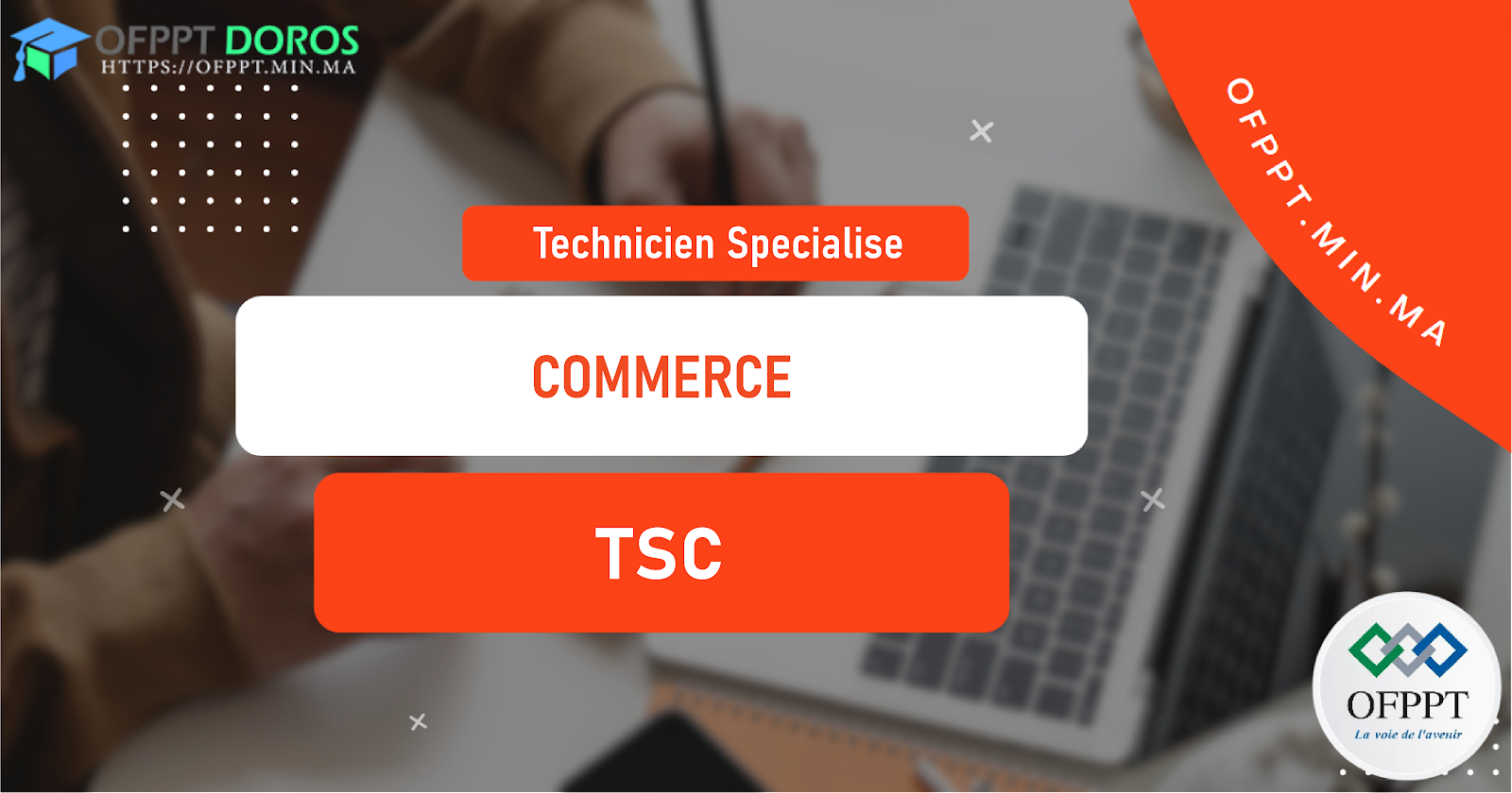 Technicien Spécialisé en Commerce (TSC)