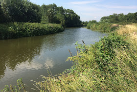 The River Medway downriver from Hartlake Bridge, 25 July 2014.