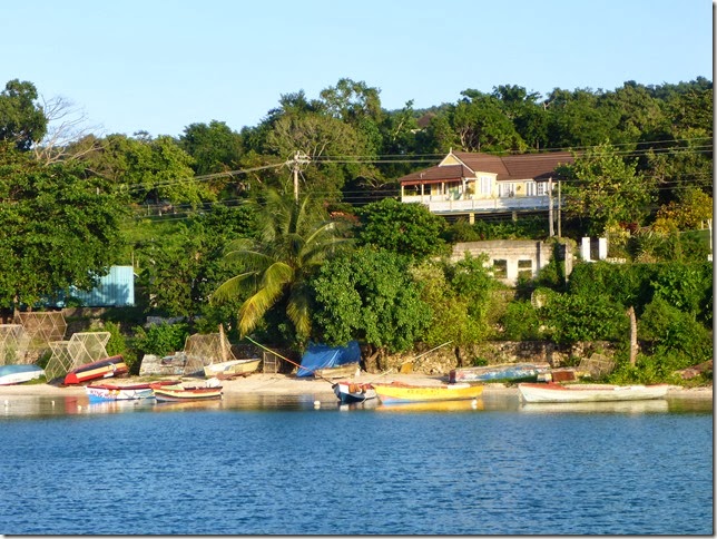 P1010954