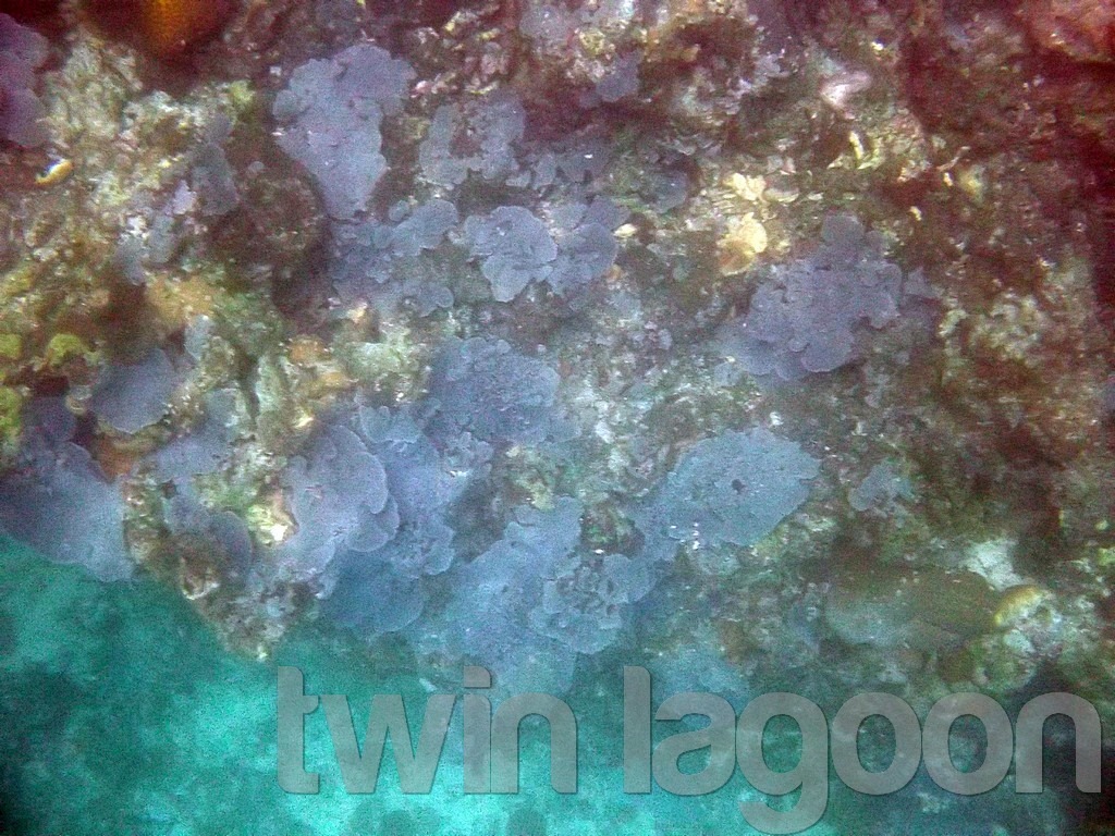 twin-lagoon-coron-04