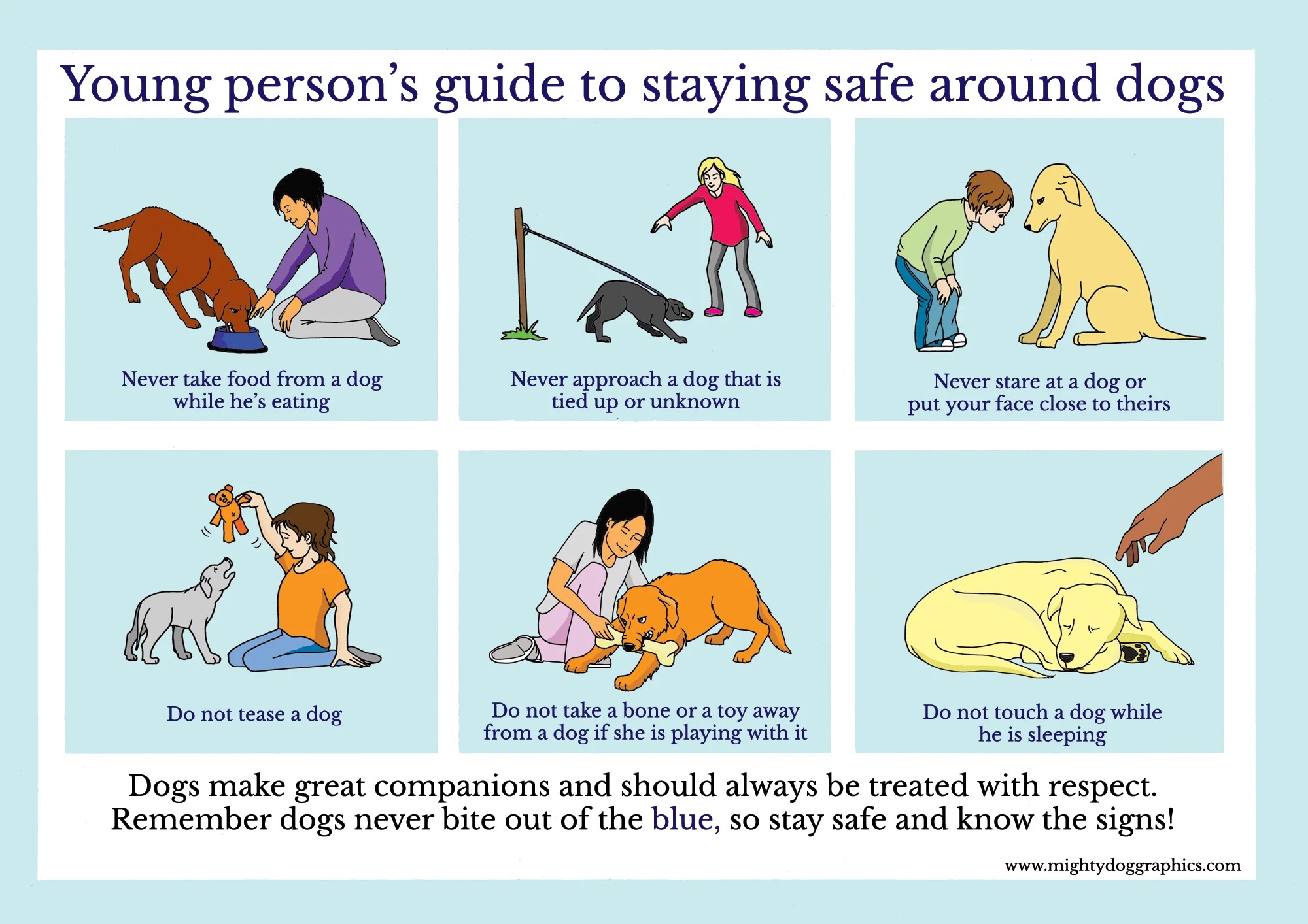 general guide about staying safe around dogs