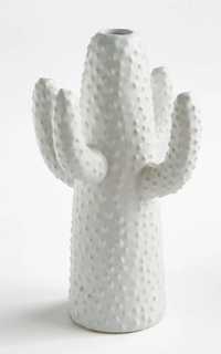  vase cactus blanc