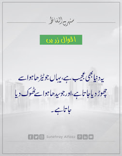 QUOTES IN URDU