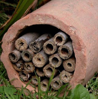 Holes for solitary bees