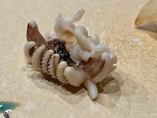 すしさとる　新イカげそ焼き