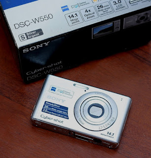 Jual Camdig Bekas Sony DSC-W550