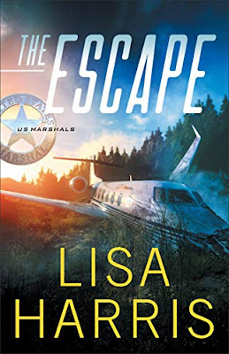 Book Review: The Escape, by Lisa Harris, 3 stars