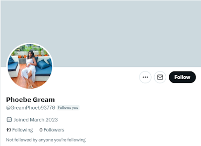 A new Twitter follower, Phoebe Gream (or at GreamPhoeb93770) who just joined a few months ago, has no followers, and is just a woman lounging in a dress