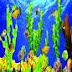  Underwater World Live Wallpaper.apk Android Free Download