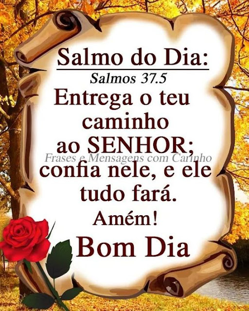 Mensagem de bom dia Deus abençoe seu dia - Que este dia seja cheio de alegria e paz