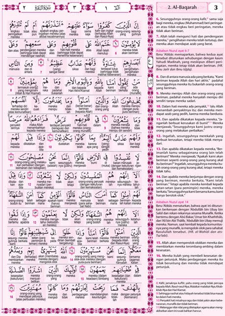 The Suezreen S Gift Al Quran Terjemah Per Kata