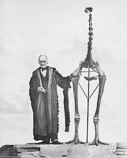 Sir Richard Owen with a Moa, Dinornis giganteus (robustus), in 1879
