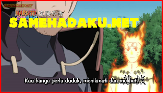 Naruto Shippuden 310 Subtitle Indonesia, Naruto Shippuden EPISODE 310, Naruto Shippuden 310 english Subtitle, Naruto 310 indo, naruto terbaru 310, naruto 310 bahasa indonesia