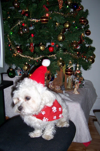 His first Christmas with us