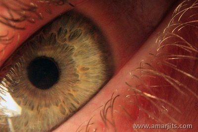Beautiful-Eyes-amarjits-com (4)