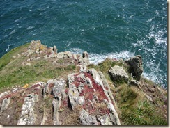 Mull of Galloway  3 May 003